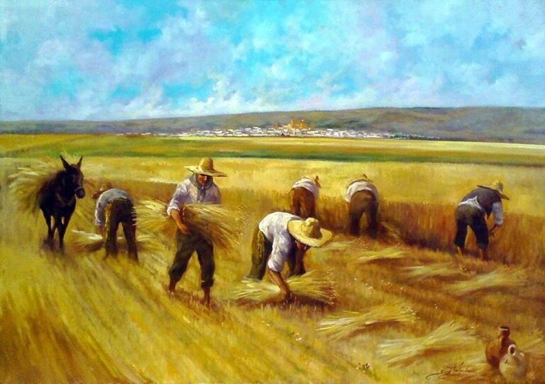 Lúa chín đầy đồng